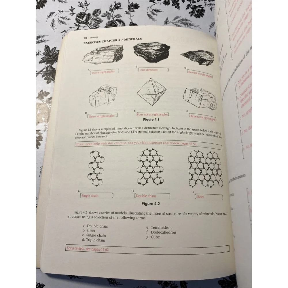 Vintage Earths Dynamic Systems Physical Geology Study Guide Workbook 5th Ed 1989